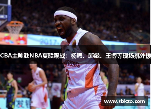 CBA主帅赴NBA夏联观战：杨鸣、邱彪、王博等现场挑外援